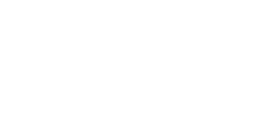 THE SPINEWISE MACHINE